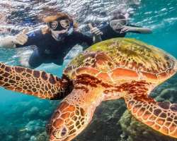 The star enjoyed scuba diving in Queensland, Australia in June 2019.